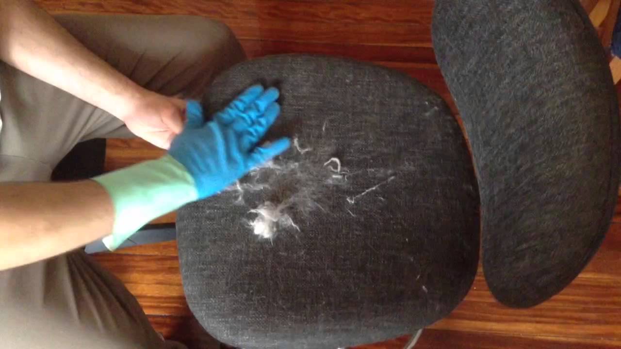 cómo limpiar los pelos de gato