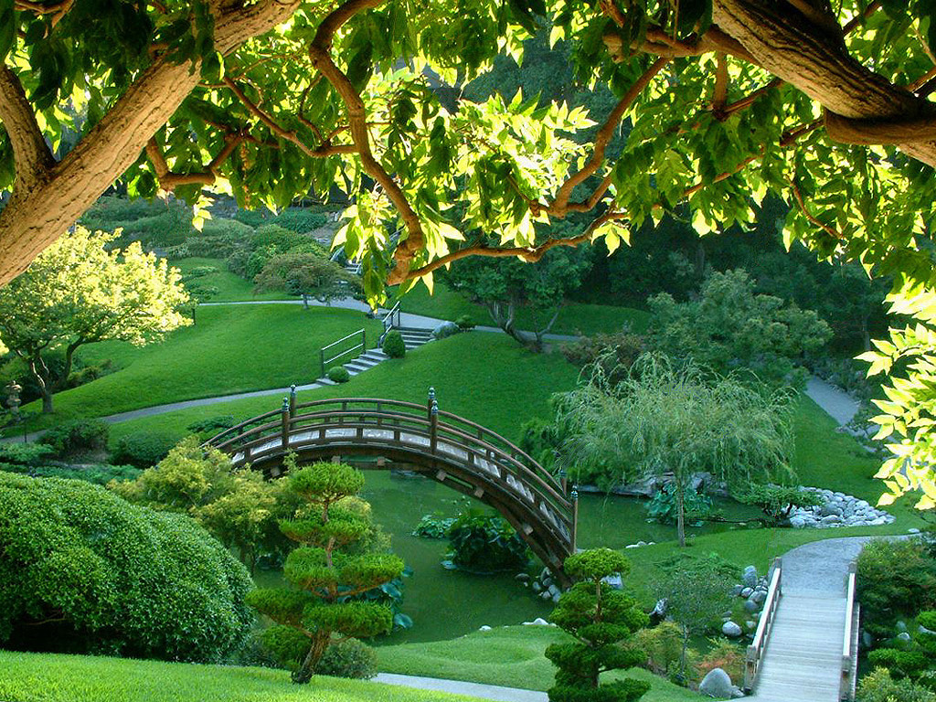 jardin-japones1.jpg