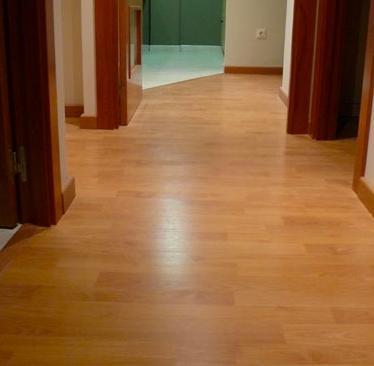 fregar parquet