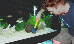 Limpiar fondo acuario