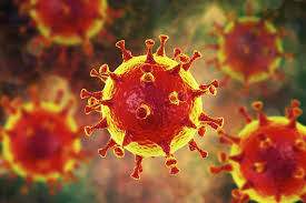Prevenir coronavirus